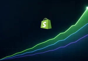 Shopify LTV Curve